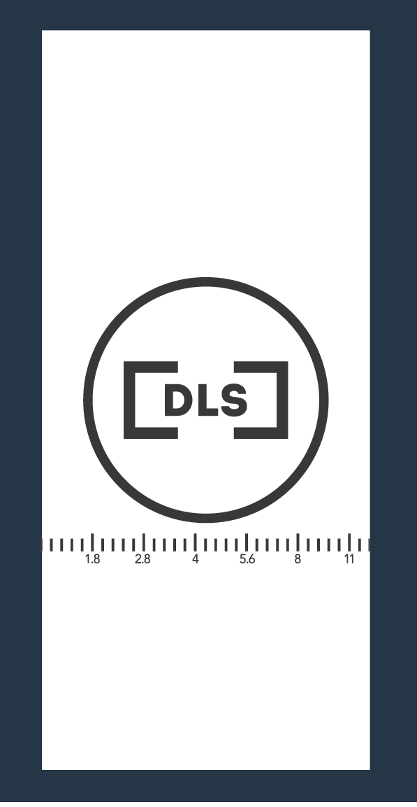 dls_branding-01